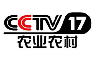 央视17套广告投放