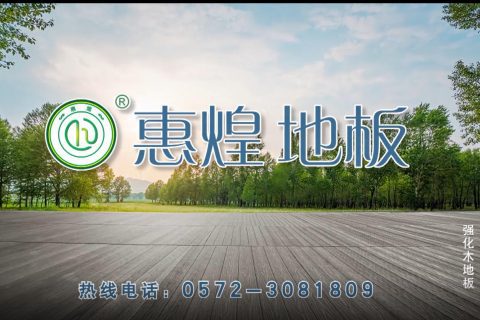 惠煌地板卫视投放案例