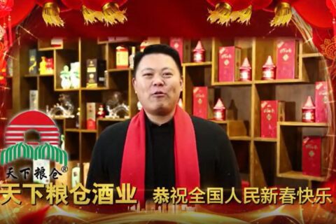 天下粮仓拜年广告